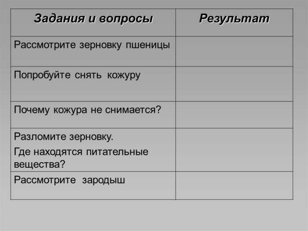 Строение семян однодольных и двудольных растений - презентация онлайн