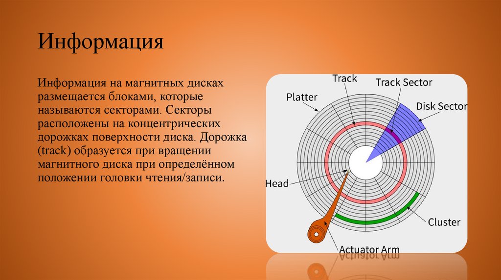 Что такое логическая структура жесткого диска