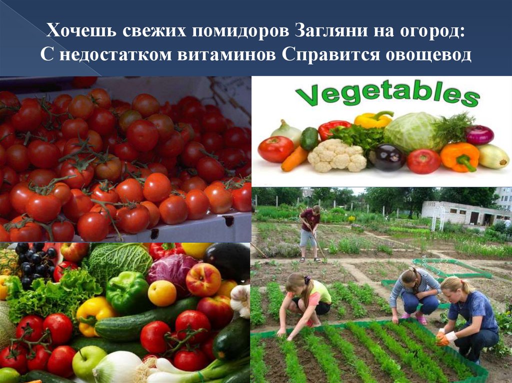 Хозяйка усадьбы - презентация онлайн