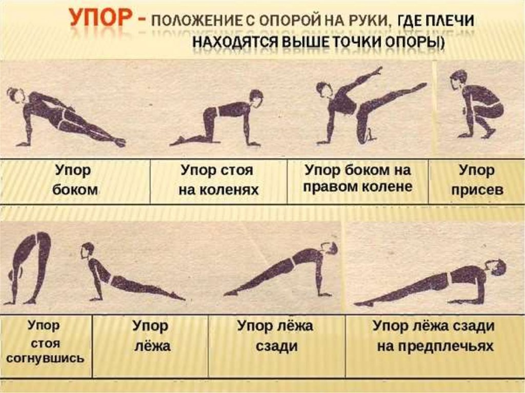 Терминология гимнастических упражнений. Упор это в физкультуре. Физ упражнения названия. Упражнения в гимнастике названия.
