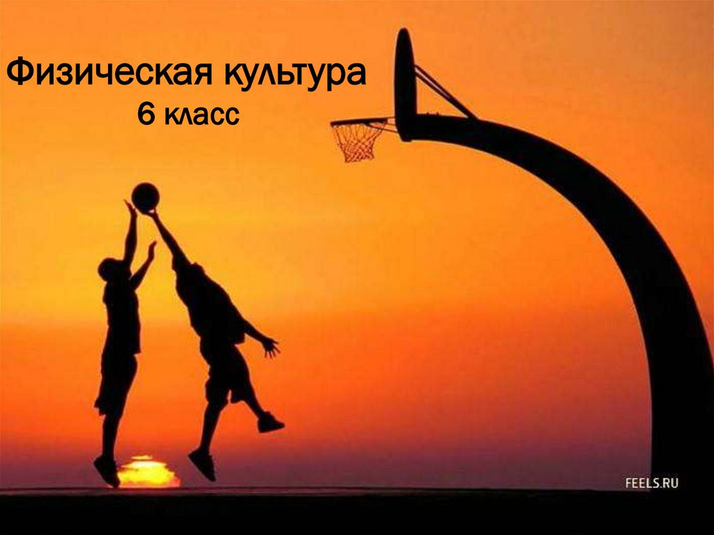 Совершенствование техники ловли и передач мяча в движении в баскетболе ...