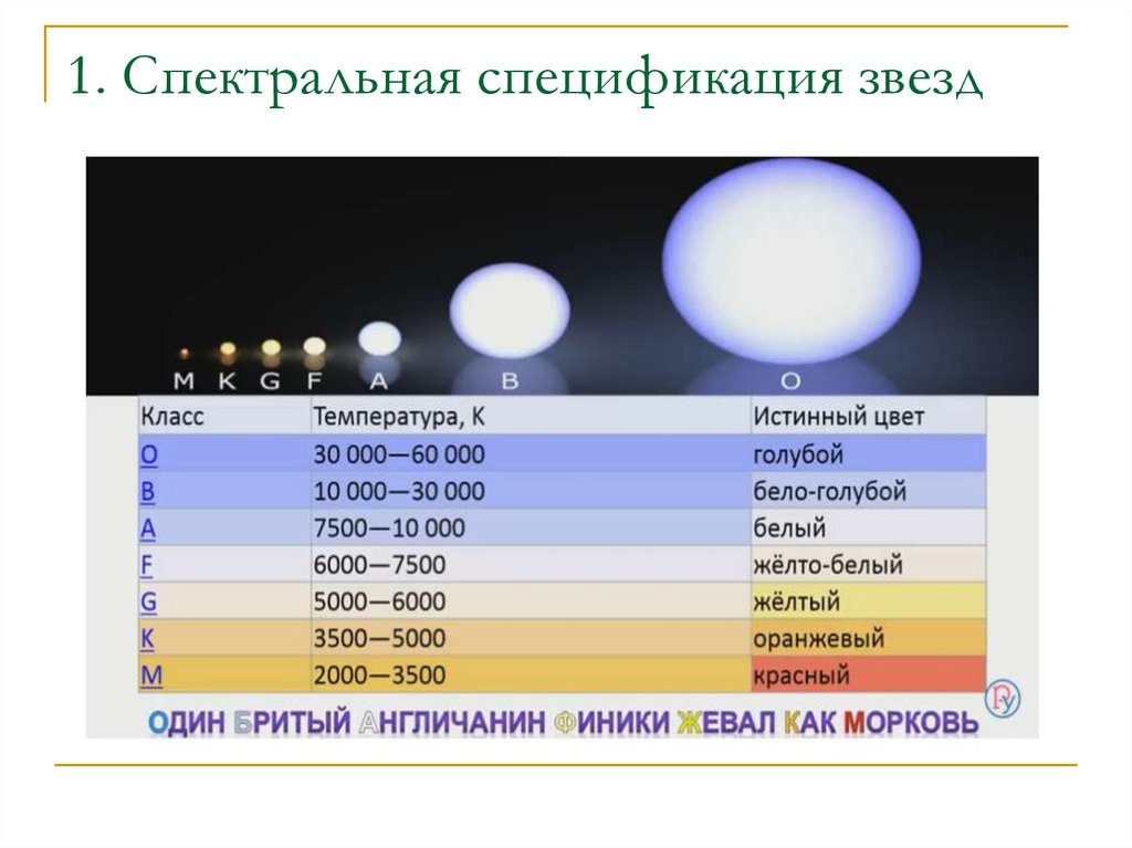 В чем главное различие спектров звезд. Спектральная классификация звёзд. Жизнь звезд спектрального класса а. Звезда спектрального класса k. Диаграмма спектральный класс.
