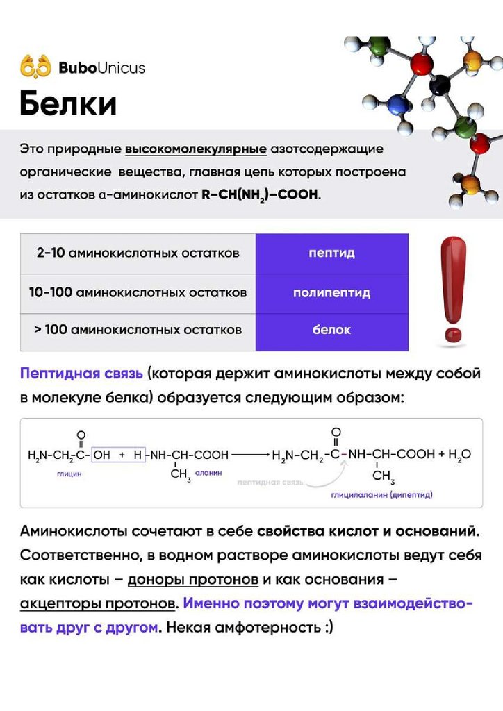 Белки химические свойства. Пептидпро.