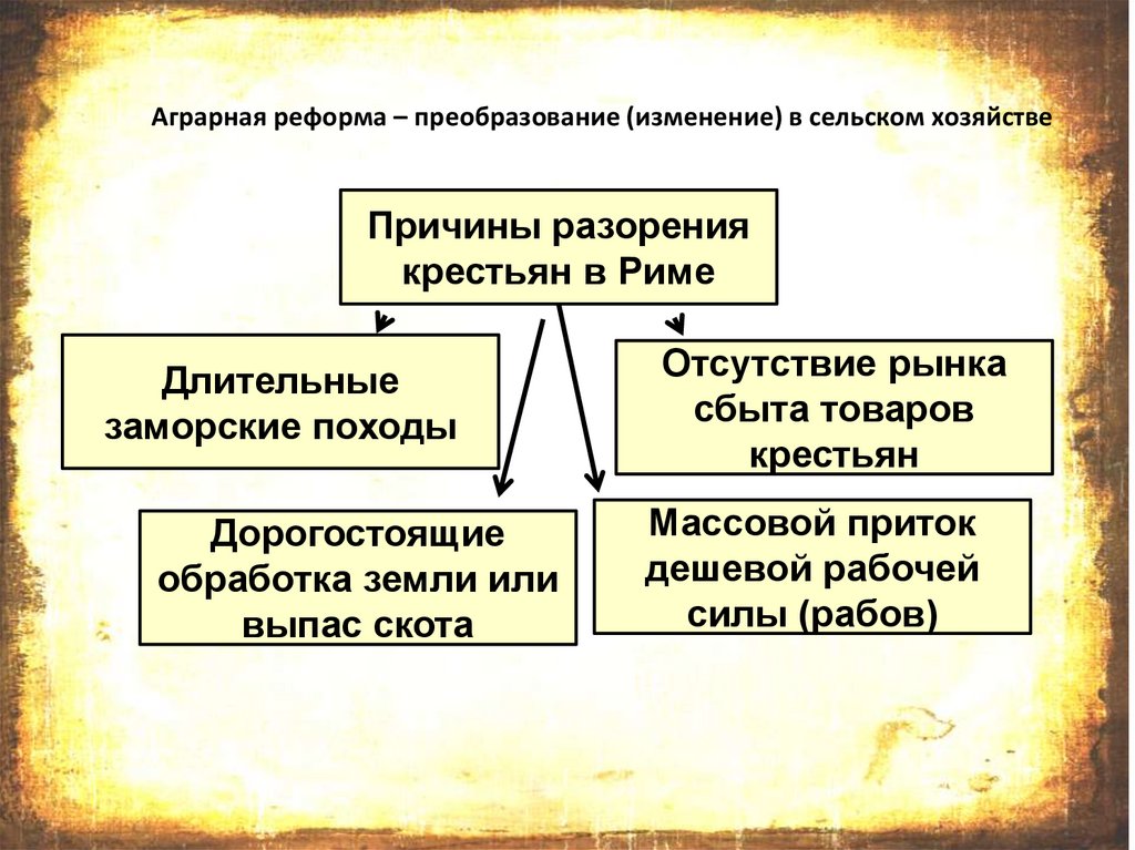 План конспект земельный закон братьев гракхов