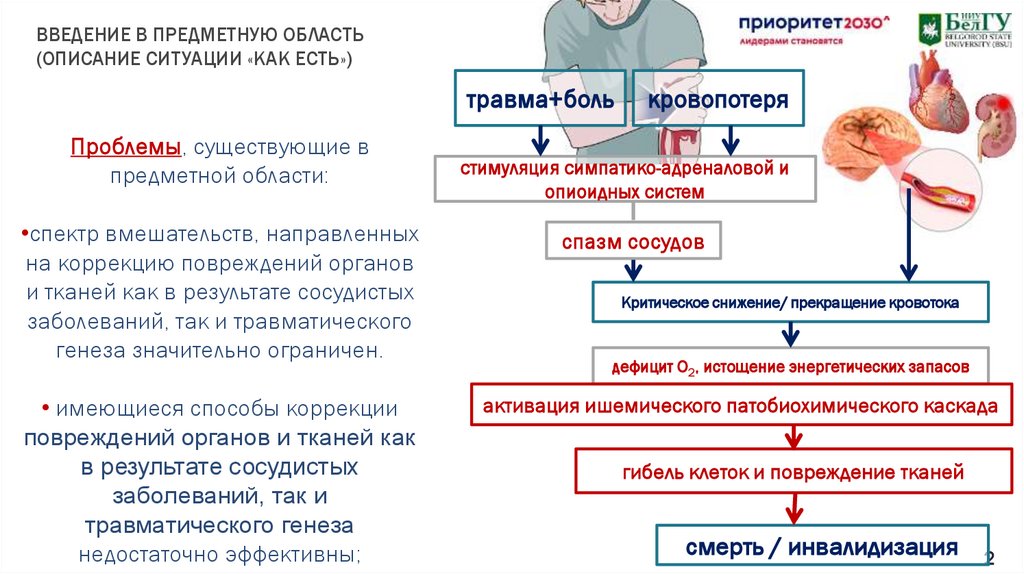 Генеза что означает