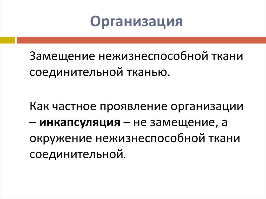 Организация