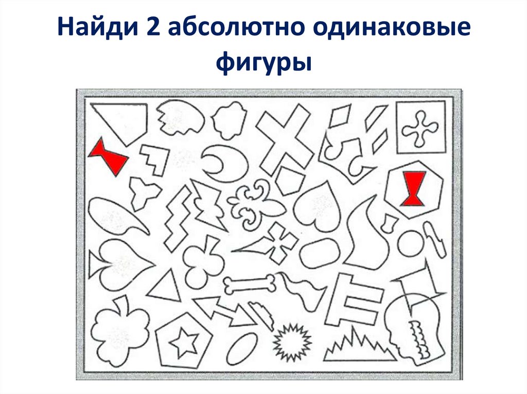 Физиология внимания презентация