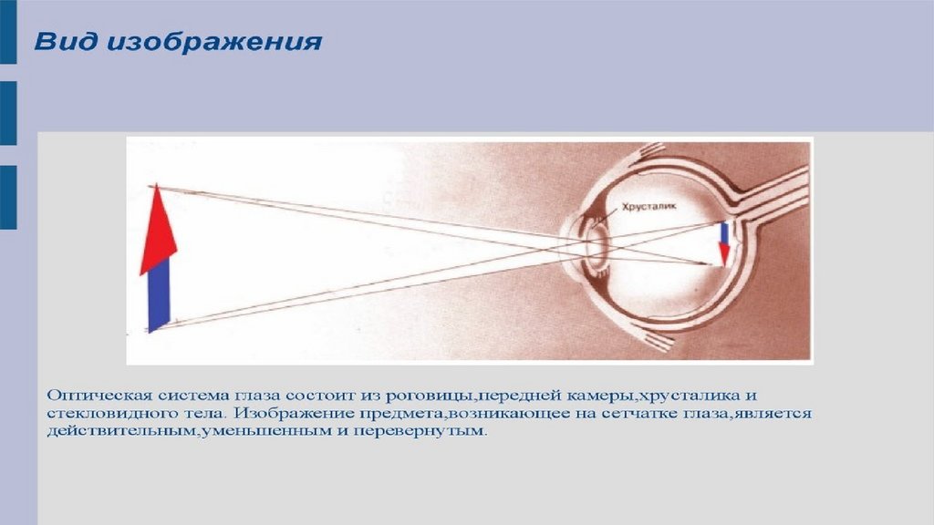 Глаз как оптическая система зрение физика презентация. Оптическая система глаза. Глаз как оптическая система физика.