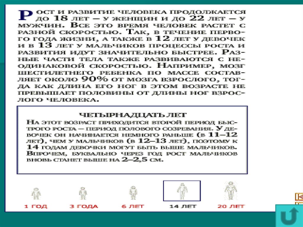 Развитие человека возрастные процессы 8 класс