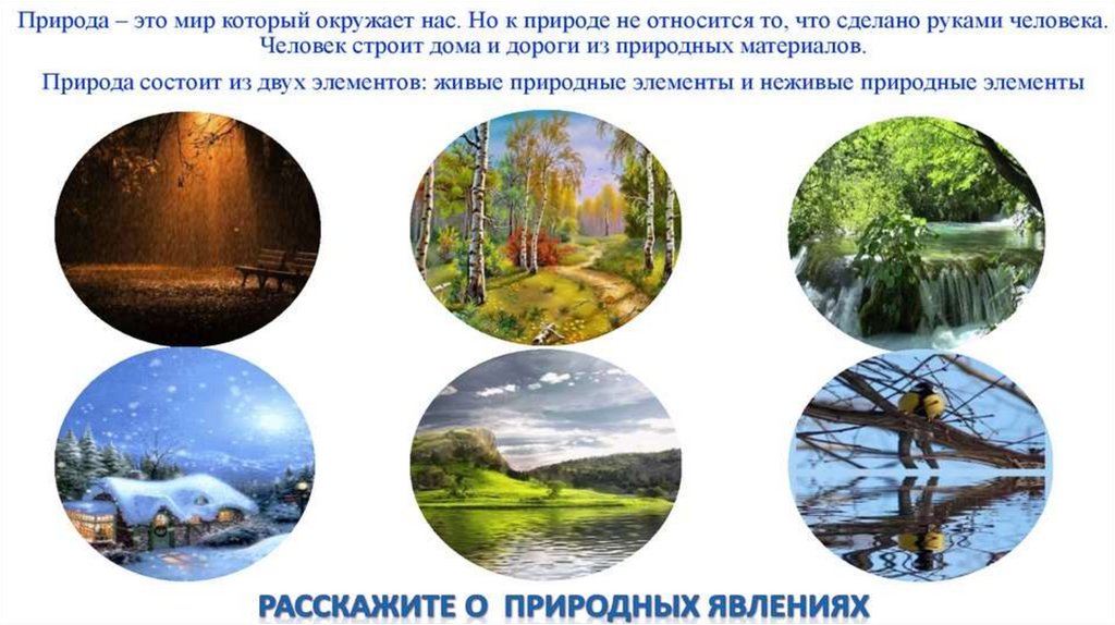 Отражение в живой и неживой природе. Деформация в живой и неживой природе.