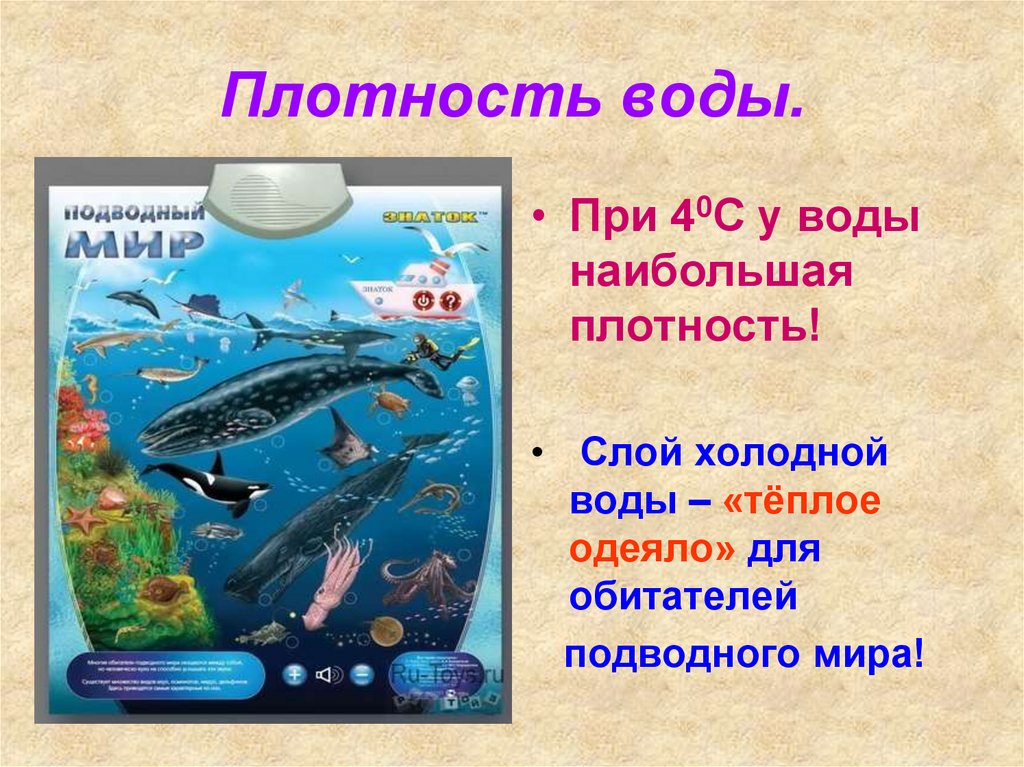 Плотность воды кратко биология 5. Плотность воды. Плотность воды 4. Роль плотности воды. Подводный и водичка предложением.