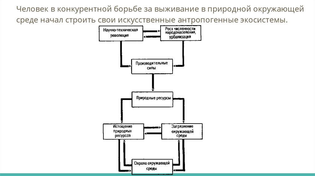 Человека и экосистема. Негативное влияние деятельности человека на ...
