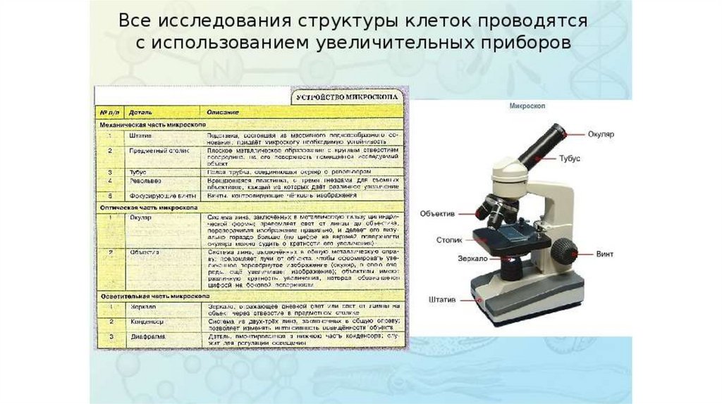 Микроскопией называют метод микроскопии. Строение электронного микроскопа лабораторные. Методы цитологии микроскопия. Микроскоп оптическая осветительная таблица. Строение микроскопа ЕГЭ биология.
