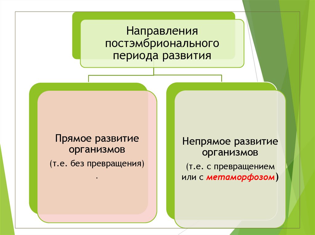 Постэмбриональный период развития. Постэмбриональный период. Критические периоды постэмбрионального периода.