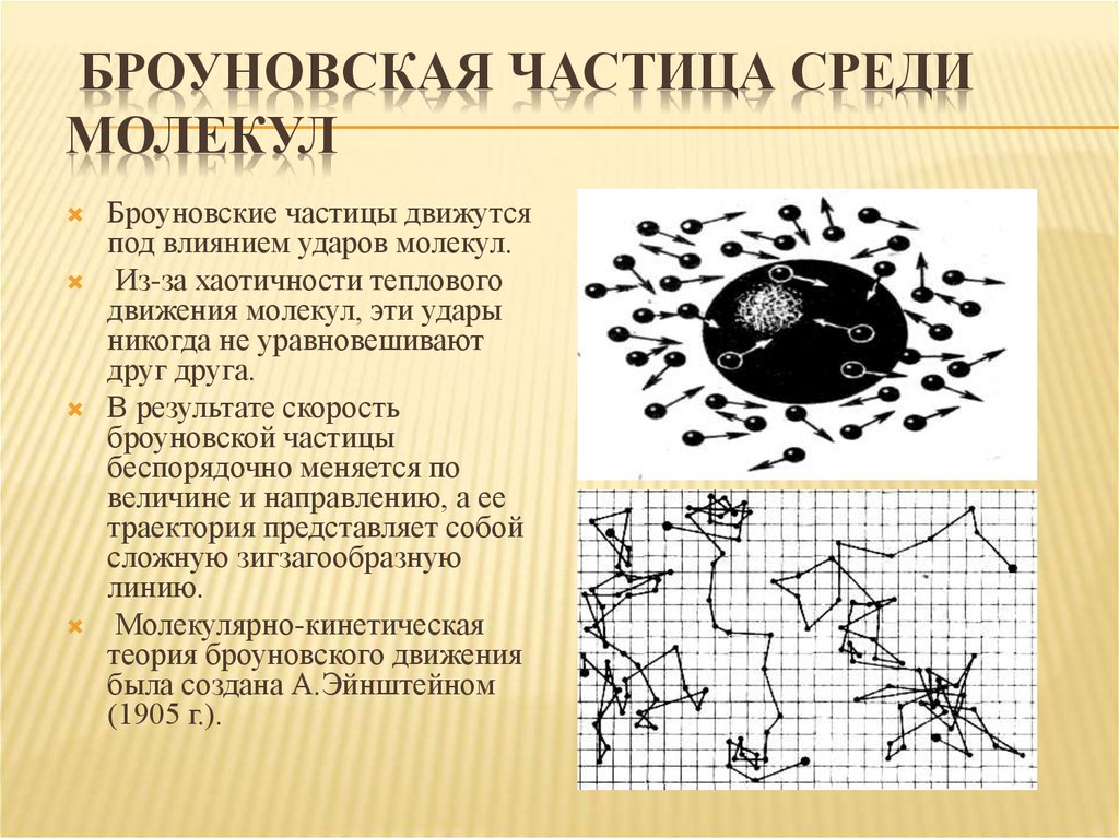 Броуновское движение формула. Броуновская частица. Броуновское движение презентация. Броуновское движение примеры.