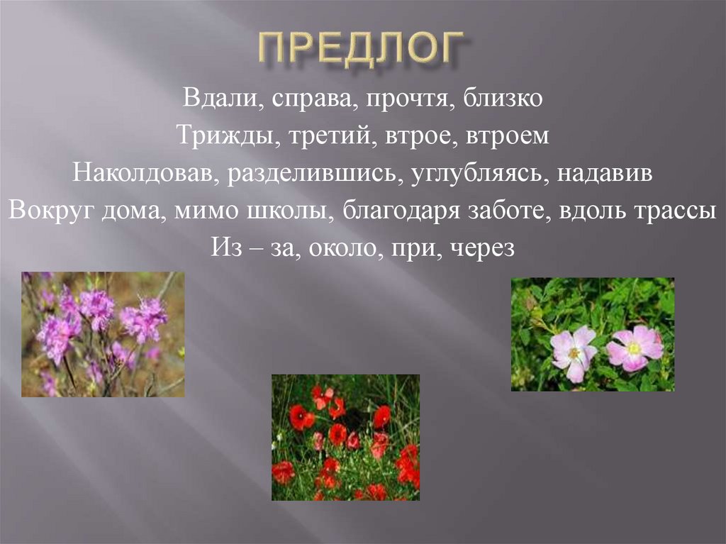 Предлоги - презентация онлайн