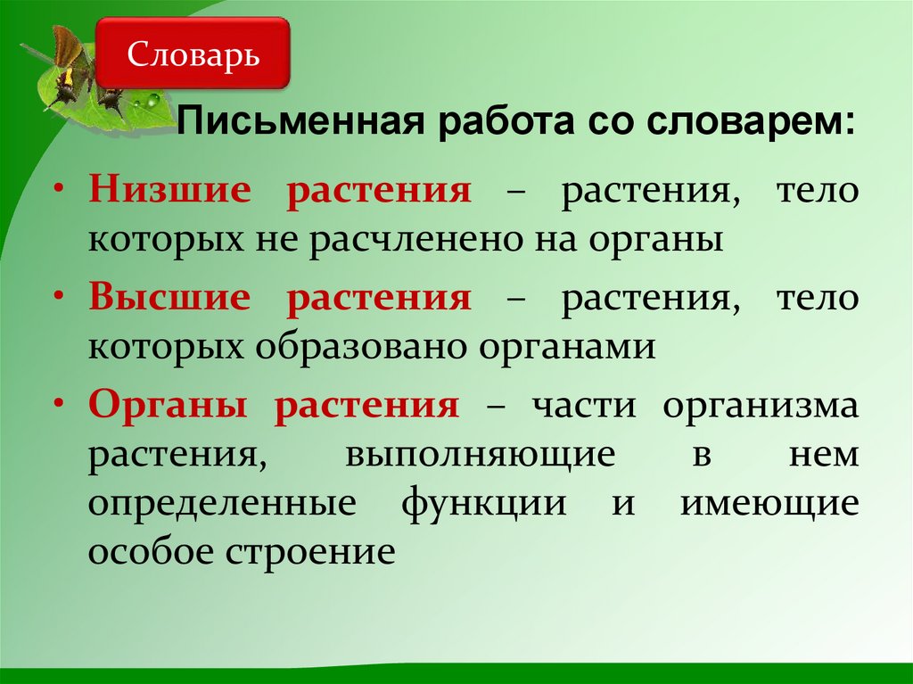 Что такое растения в биологии 5 класс. Растения тело которых расчленено на органы. Низшие растения. Растение тело не расчленено на органы. Высшие растения 5 класс биология.