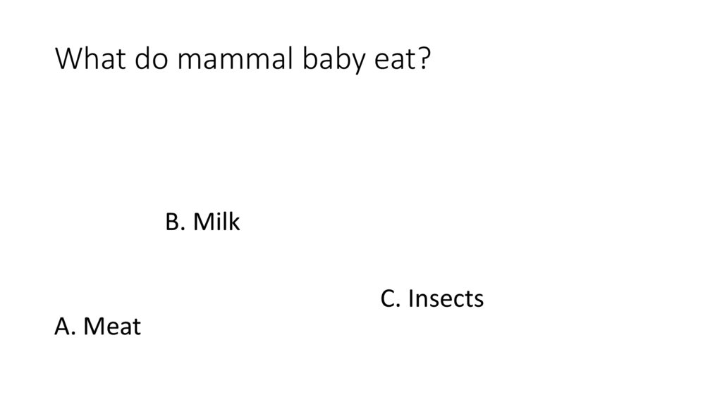 Mammals. Which animal is mammal (викторина) - презентация онлайн