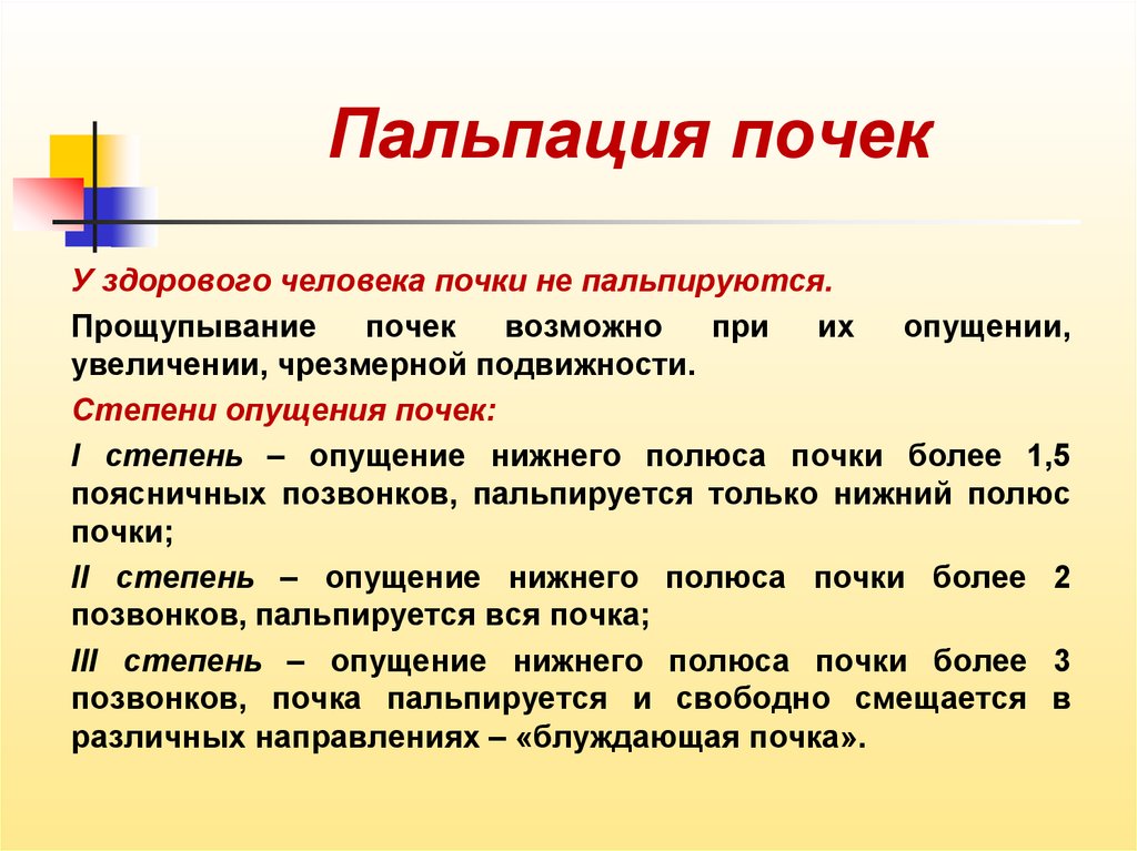 Должны ли органы. Когда пальпируются почки. Нижний полюс почки пальпируется при. Пальпауия рлчек в рорме.