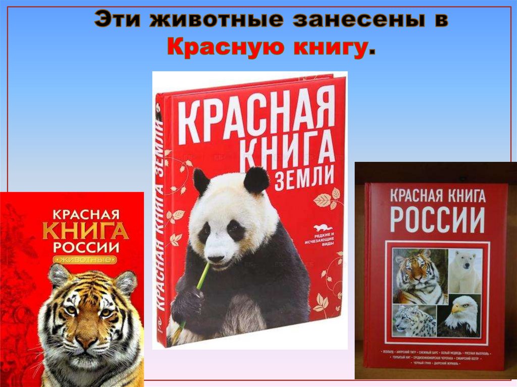 Международная книга россии