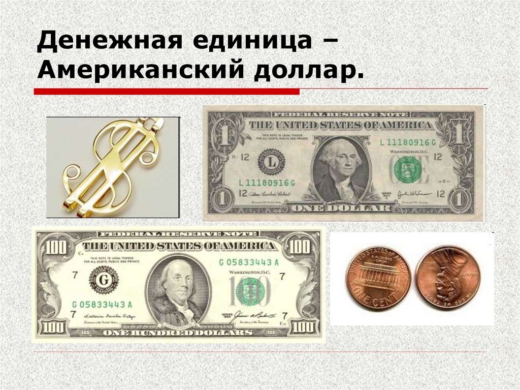 Денежная единица – Американский доллар.