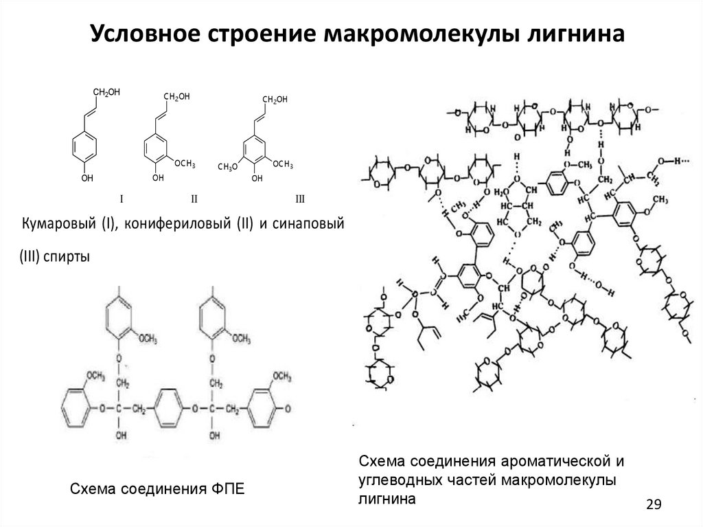 3 природные полимеры. Структурное строение лигнина. Макромолекула строение схема. Природные полимеры формулы. Природные полимеры примеры формулы.