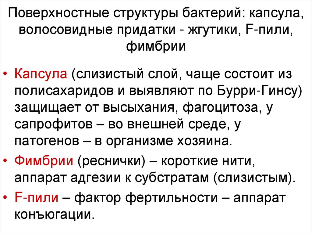 Поверхностная структура. Поверхностные структуры бактерии жгутики рибосомы фимбрии. Сохранение микроорганизмов.