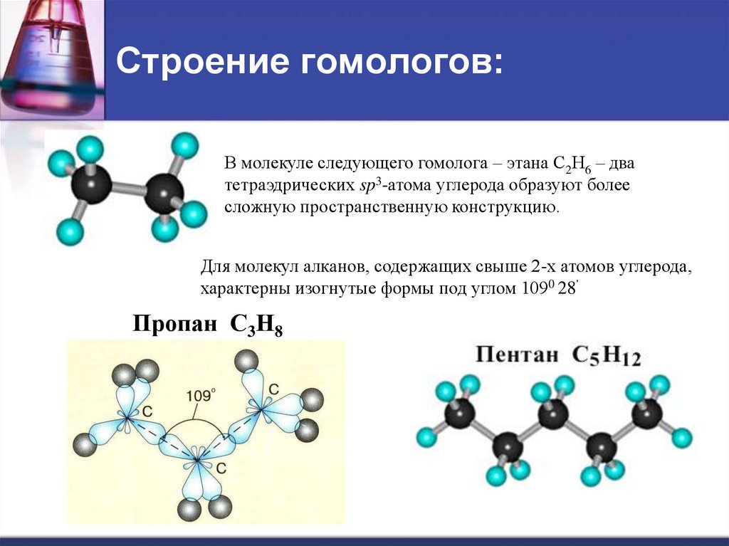 Сложные алканы. Алканы гомологи строение молекул.