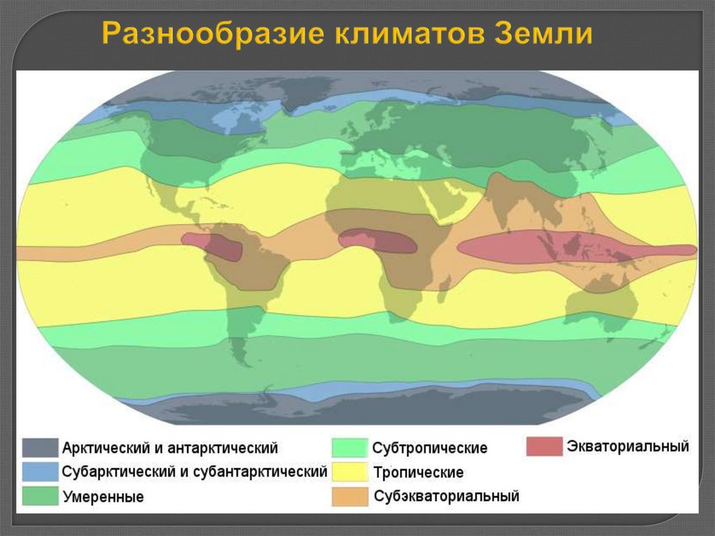 Тип климата тропического пояса