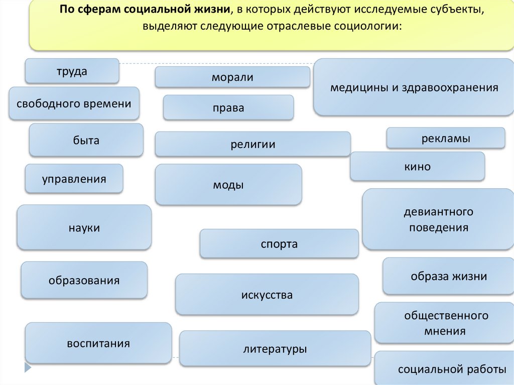 Уровни науки социологии