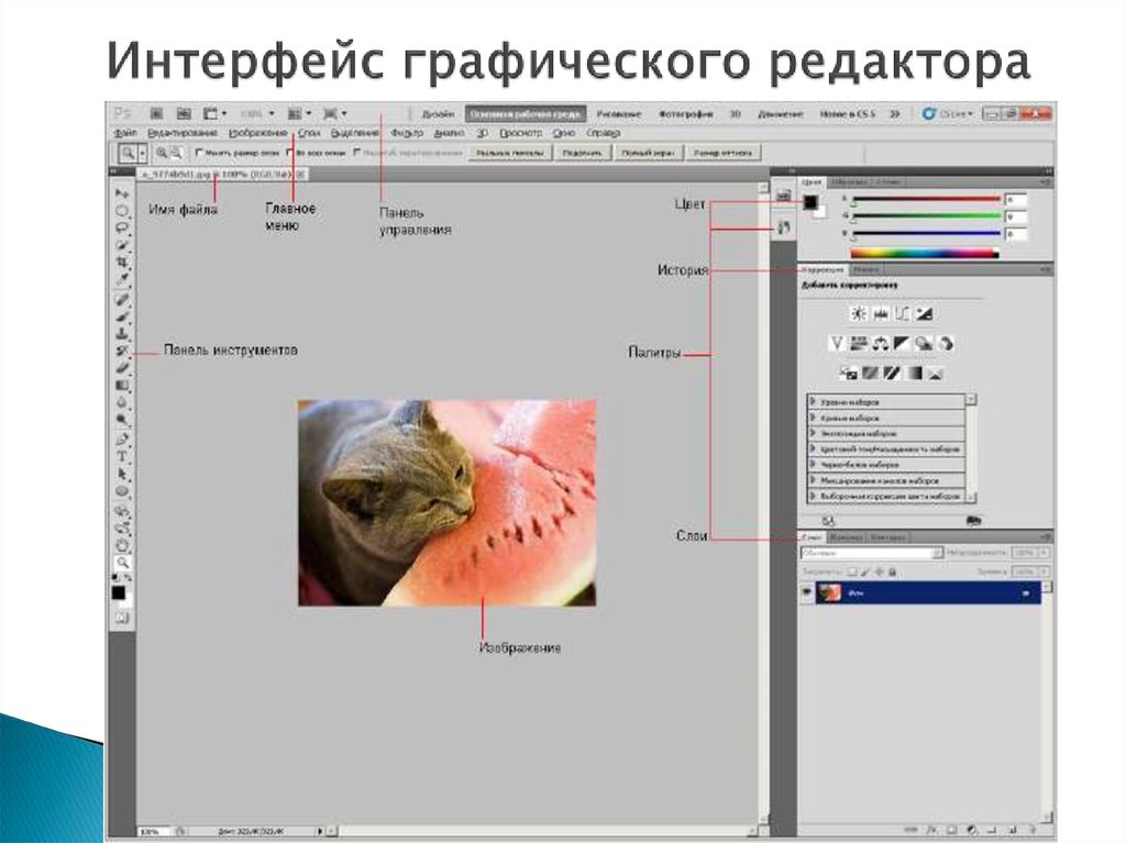 Книга графические редакторы. Интерфейс редактора Adobe Photoshop. Photoshop cs5 Интерфейс. Интерфейс программы Adobe Photoshop cs5. Элементы интерфейса Adobe Photoshop.