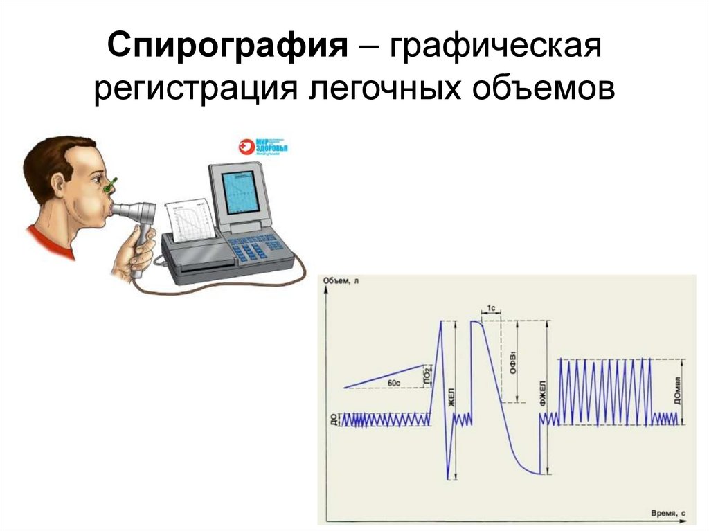 Что такое спирография фото