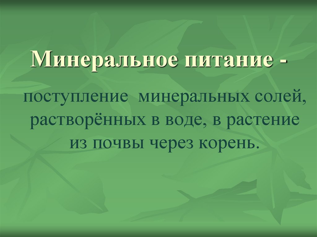 Минеральное питание -