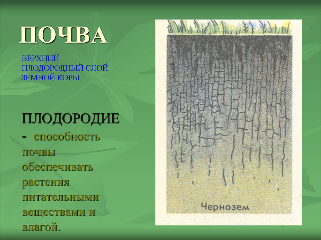 И влаги верхний слой. Верхний плодородный слой. Плодородный слой земной коры. Верхний плодородный слой почвы. Плодородие почвы это способность обеспечивать растения.