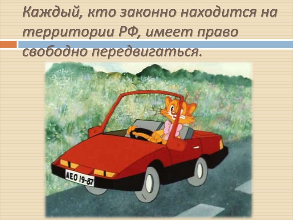 Права и свободы гражданина и человека. Каждый имеет право на жизнь ...