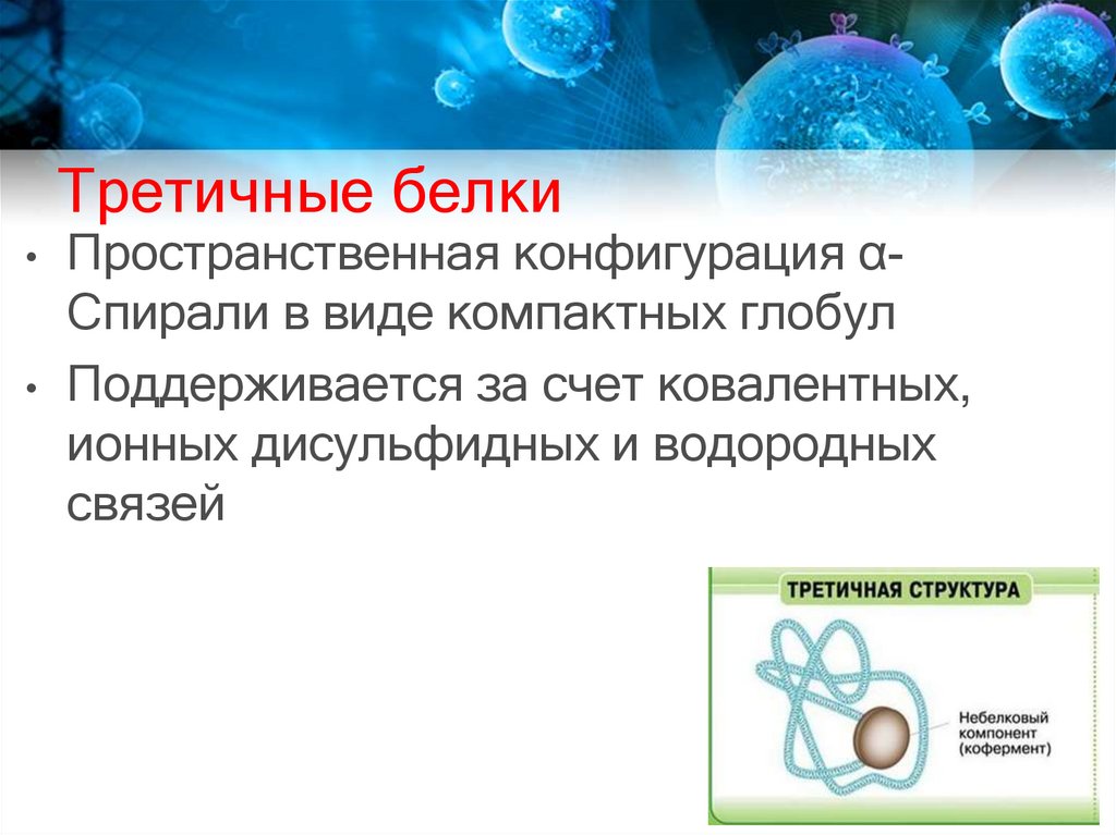 Клетка презентация 9 класс. Конфигурация спиралью. Пространственная конфигурация а спирали. Пространственная конфигурация l спирали. Трехмерную конфигурацию свободных поверхностей клеток и тканей.