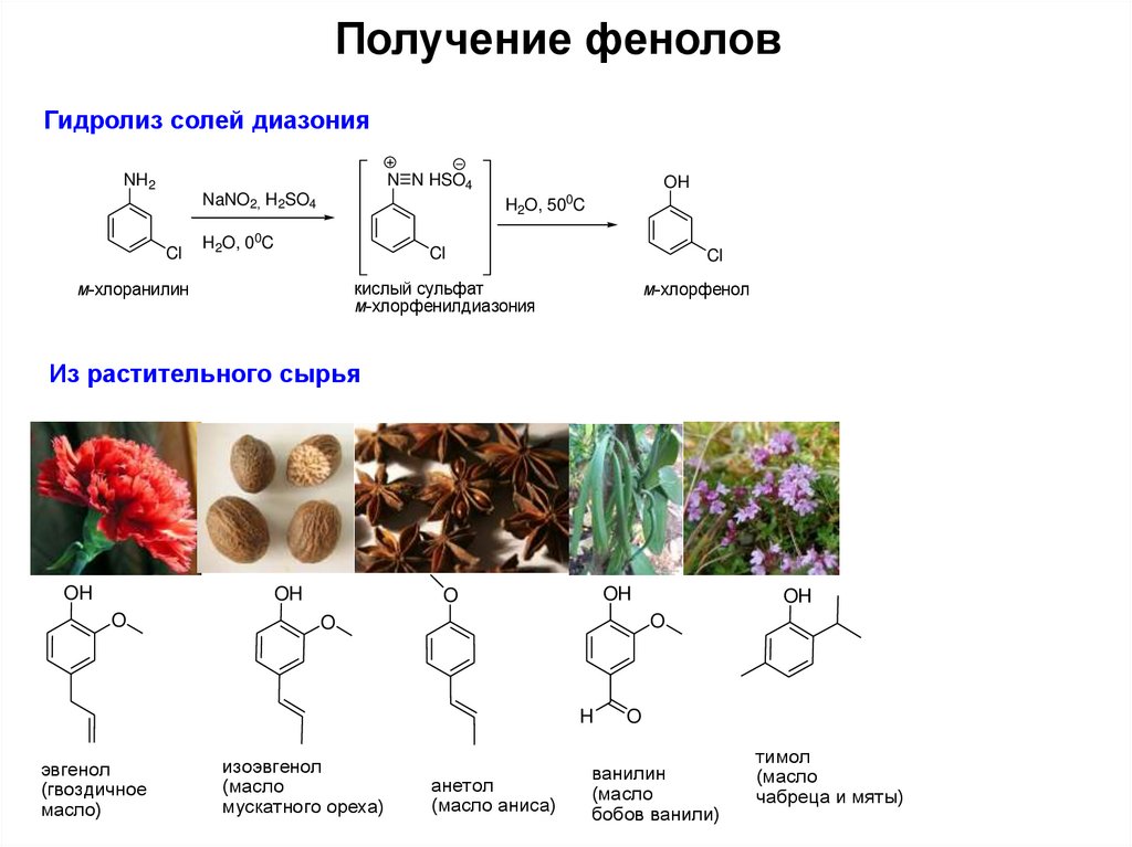 Щелочной гидролиз фенола. Схема гидролиза растительного сырья. Получение фенолов. Получение фенолов из солей диазония. Способы синтеза фенолов гидролиз.