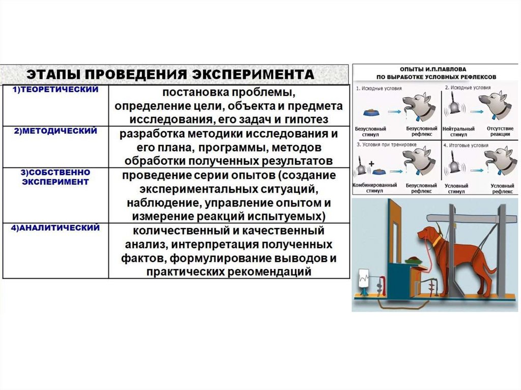 План история изучения животных