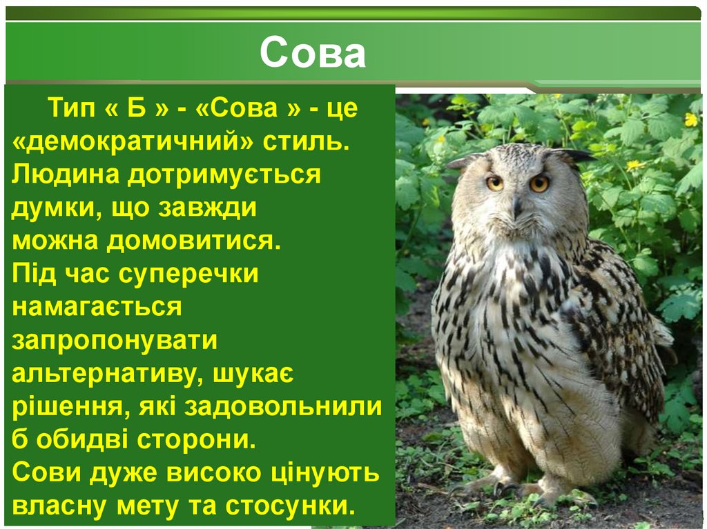 Сова