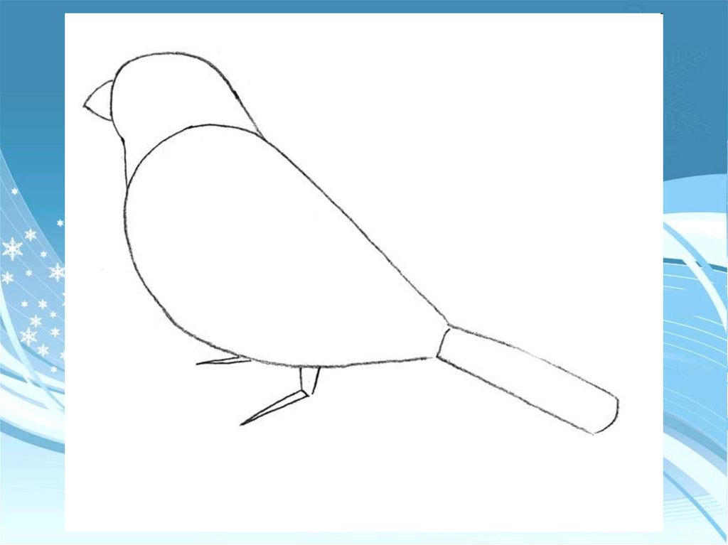 Презентация рисуем птицу 2 класс. Рисование птицы Снегирь подготовительная группа. Этапы рисования снегиря. Снегирь пошаговое рисование. Поэтапноное рисование снегиря.