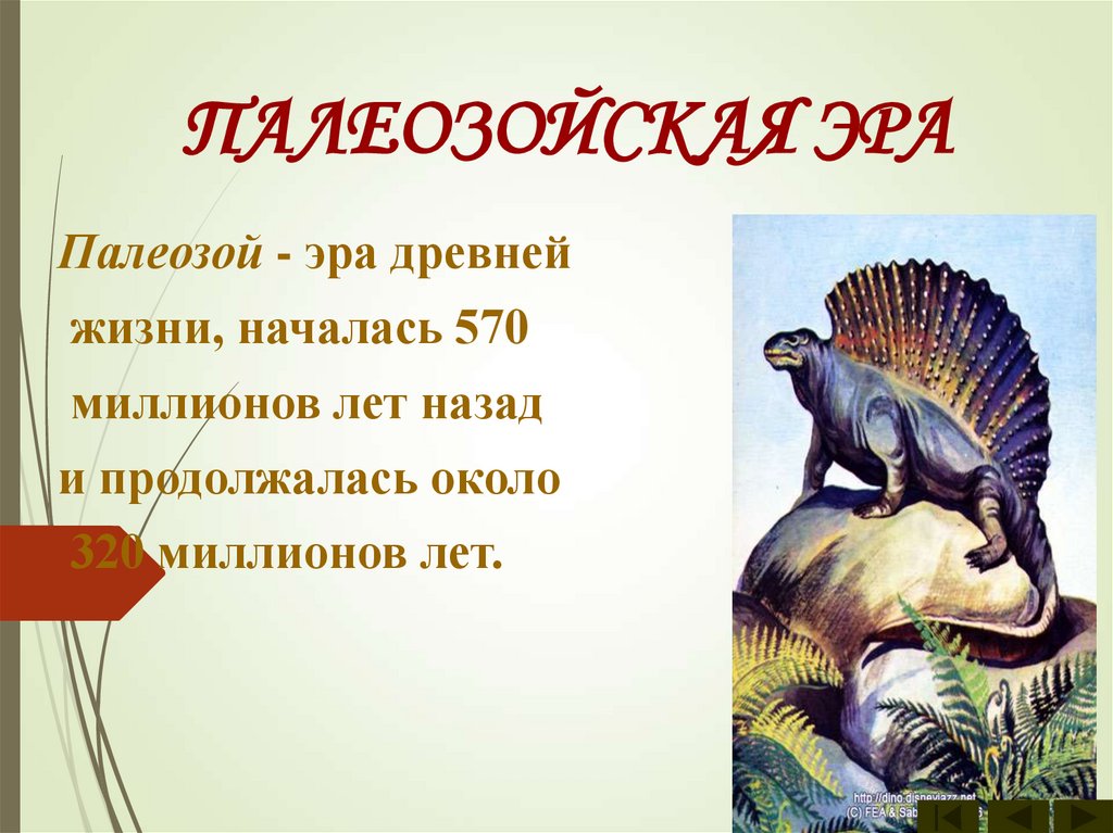 Палеозойская эра древней жизни. Палеозойская Эра. Карбон период палеозойской эры. Земля в палеозойскую эру.