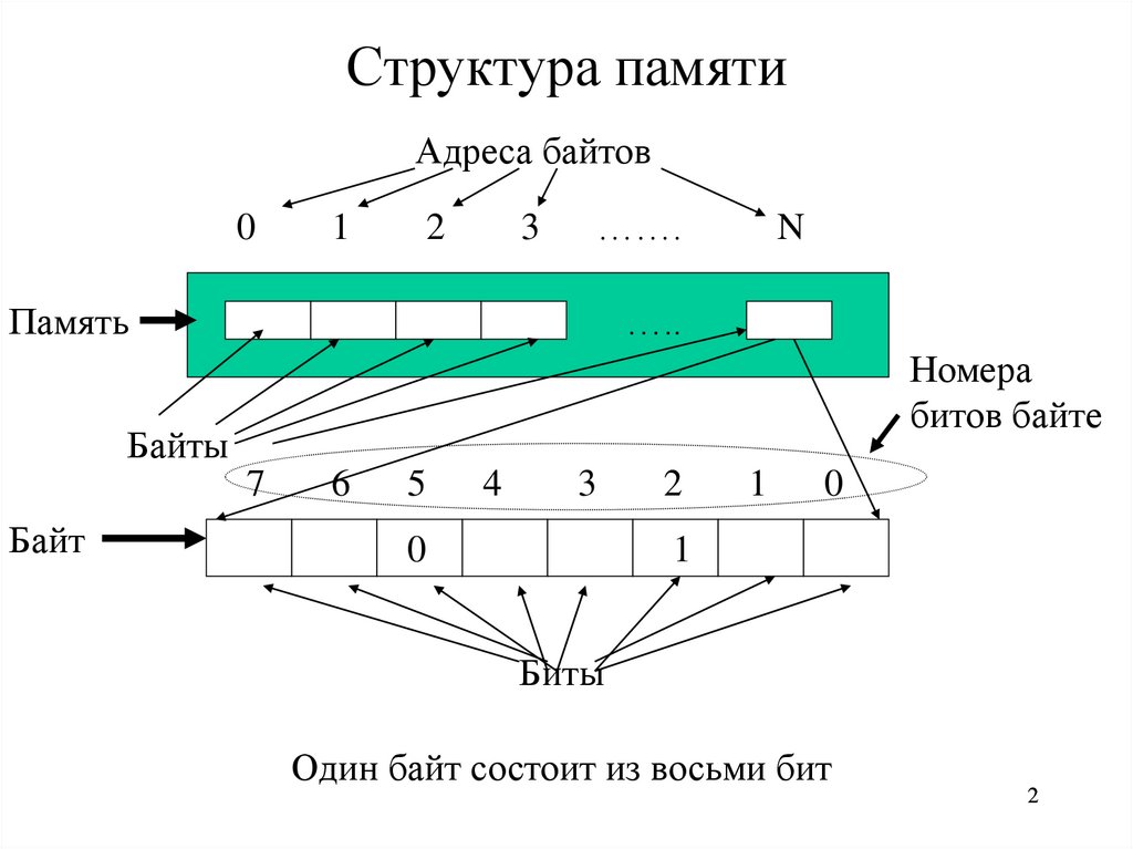 Бит состоит из 8 байт. Структура памяти. Адресация памяти. Структура байта. Строение битов.