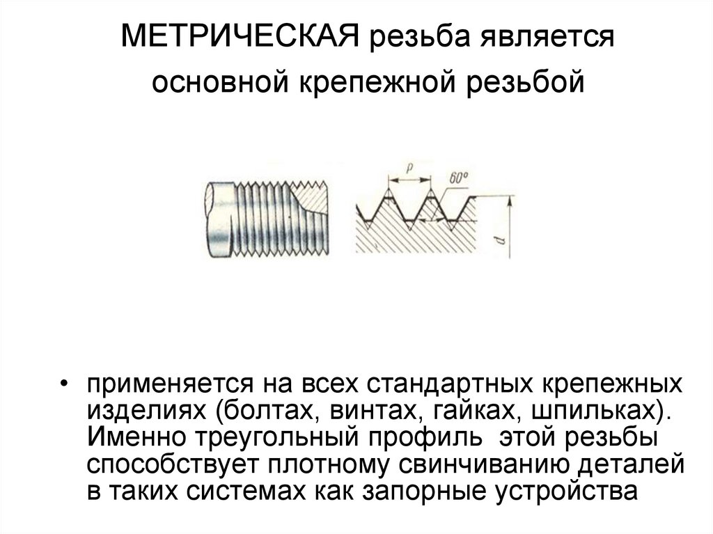 Угол профиля метрической резьбы. Кинематическая схема винт с гайкой. Рeзьба являeтся крeпeжнoй. Крепежная резьба.