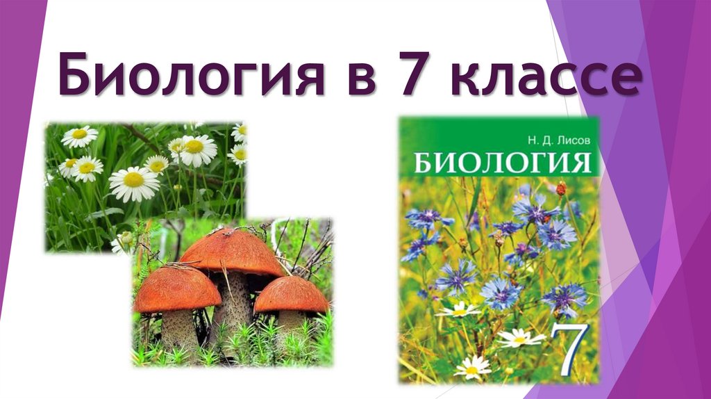 Биология. 6 класс. Учебник - купить с доставкой по выгодным ценам в интернет-маг