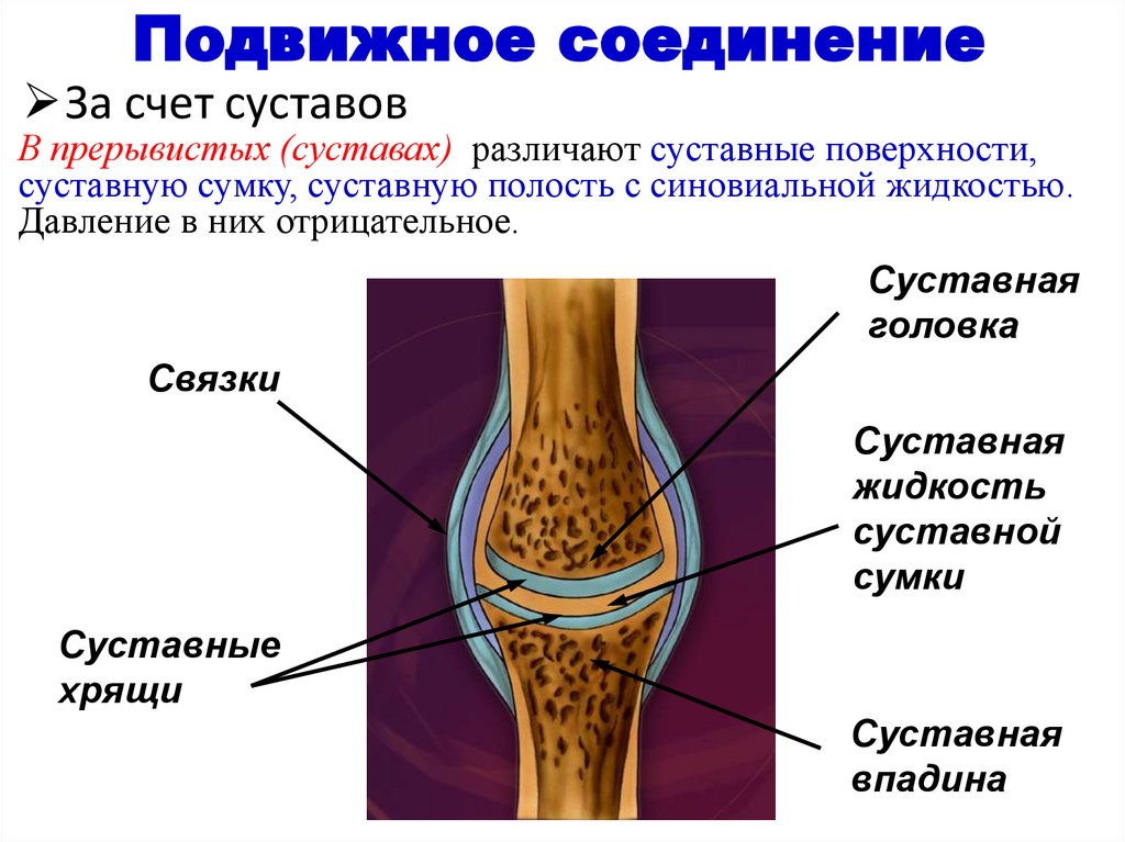 Подвижное соединение