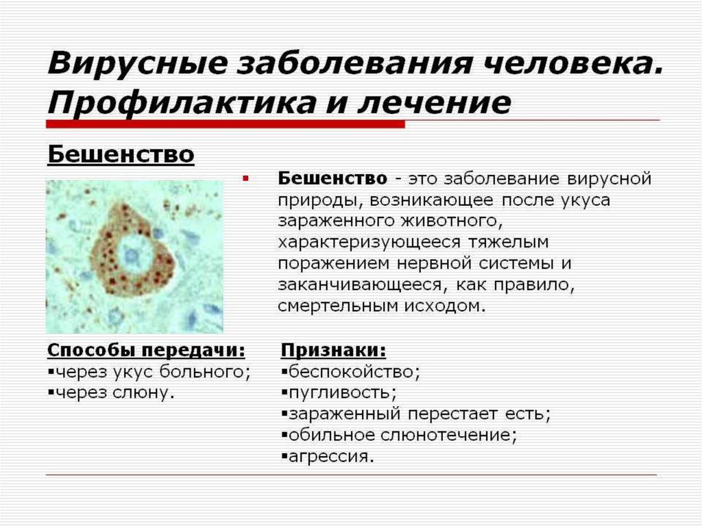 Вирусы вызывают различные заболевания. Профилактика вирусных заболеваний биология 5 класс. Сообщение на тему вирусные заболевания и их профилактика. Вирусы и вызываемые ими заболевания.