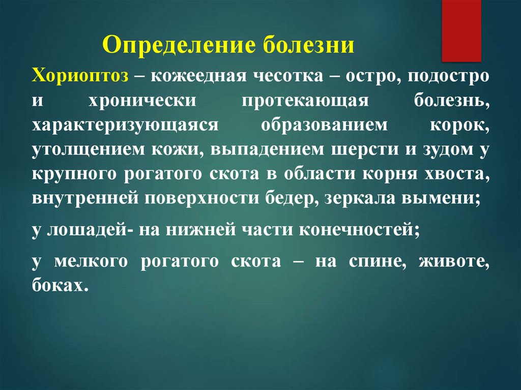 Болезнь это определение. Хориоптоз коров поражение кожи на корне хвоста. Обработка помещений при хориоптозе.