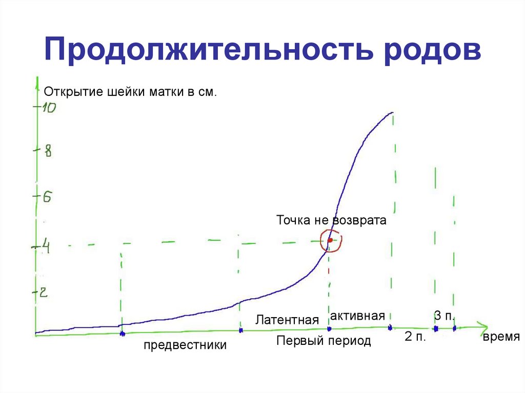 Средний срок родов