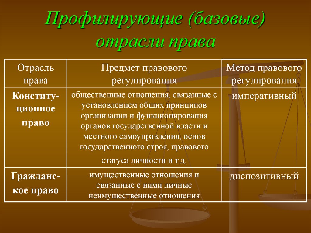 Профилирующие (базовые) отрасли права