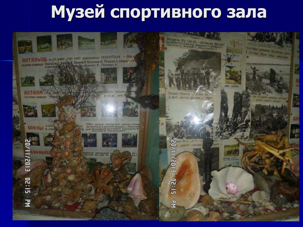 Музей спортивного зала